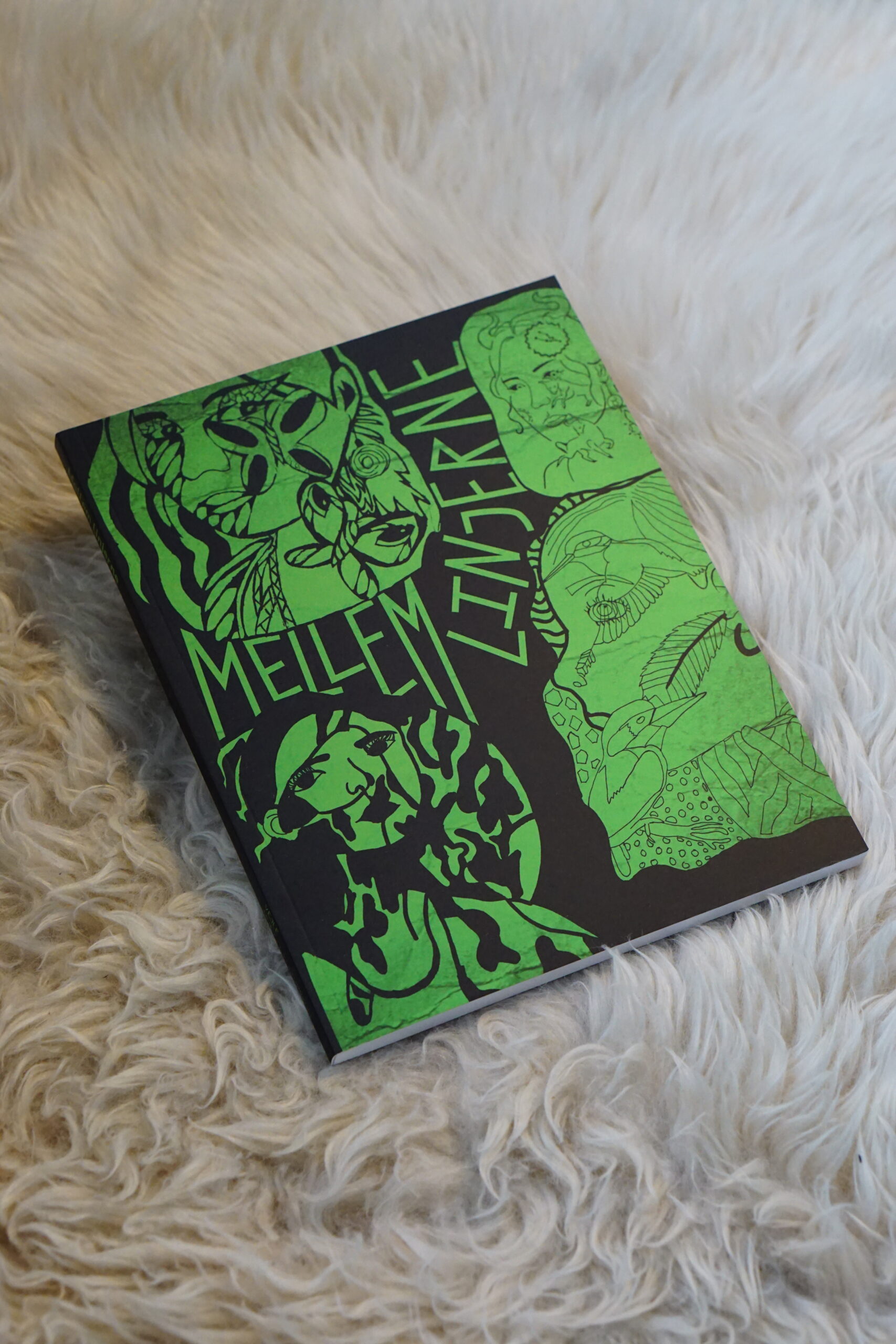 Mellem Linjerne, bog