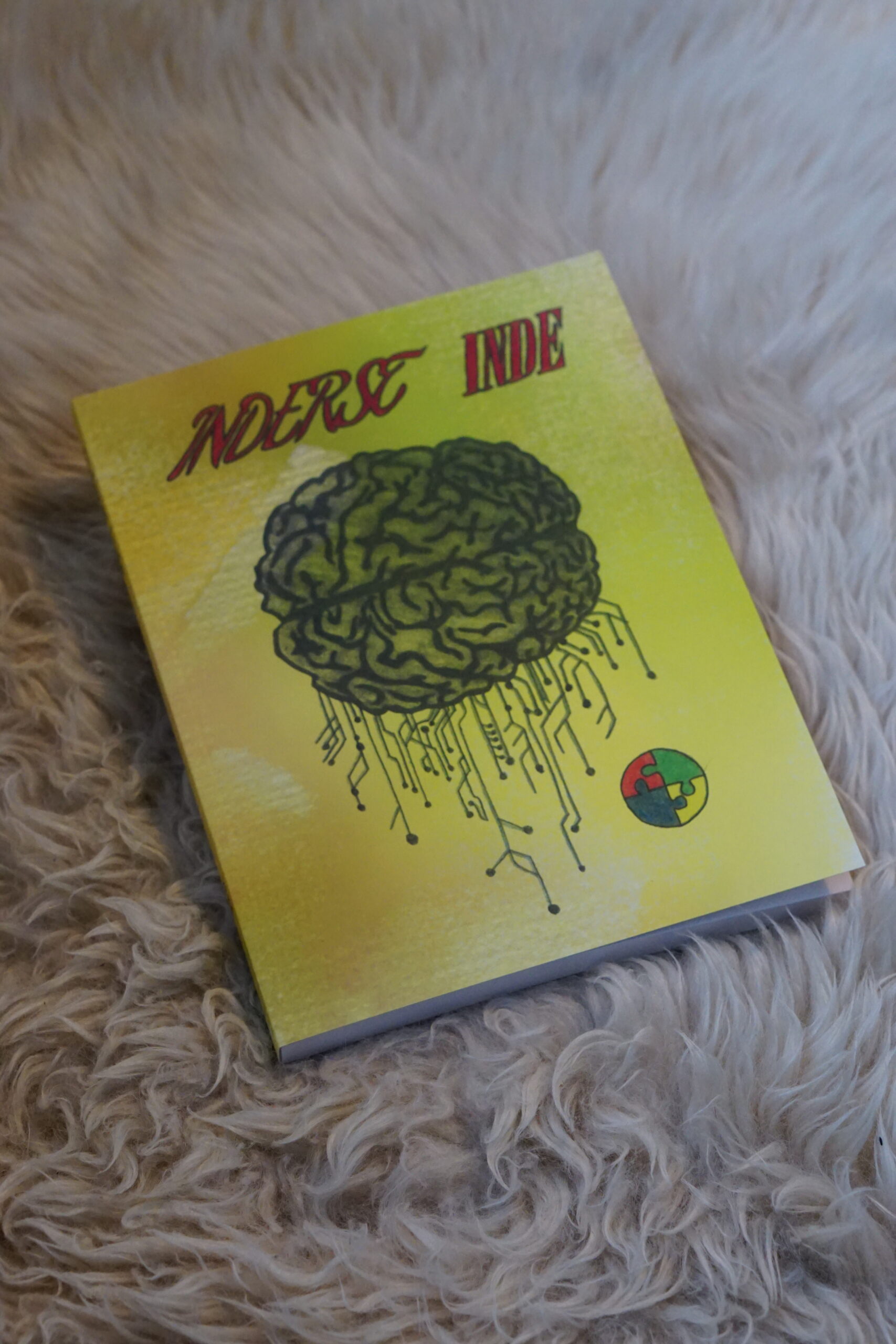 Inderst Inde, bog