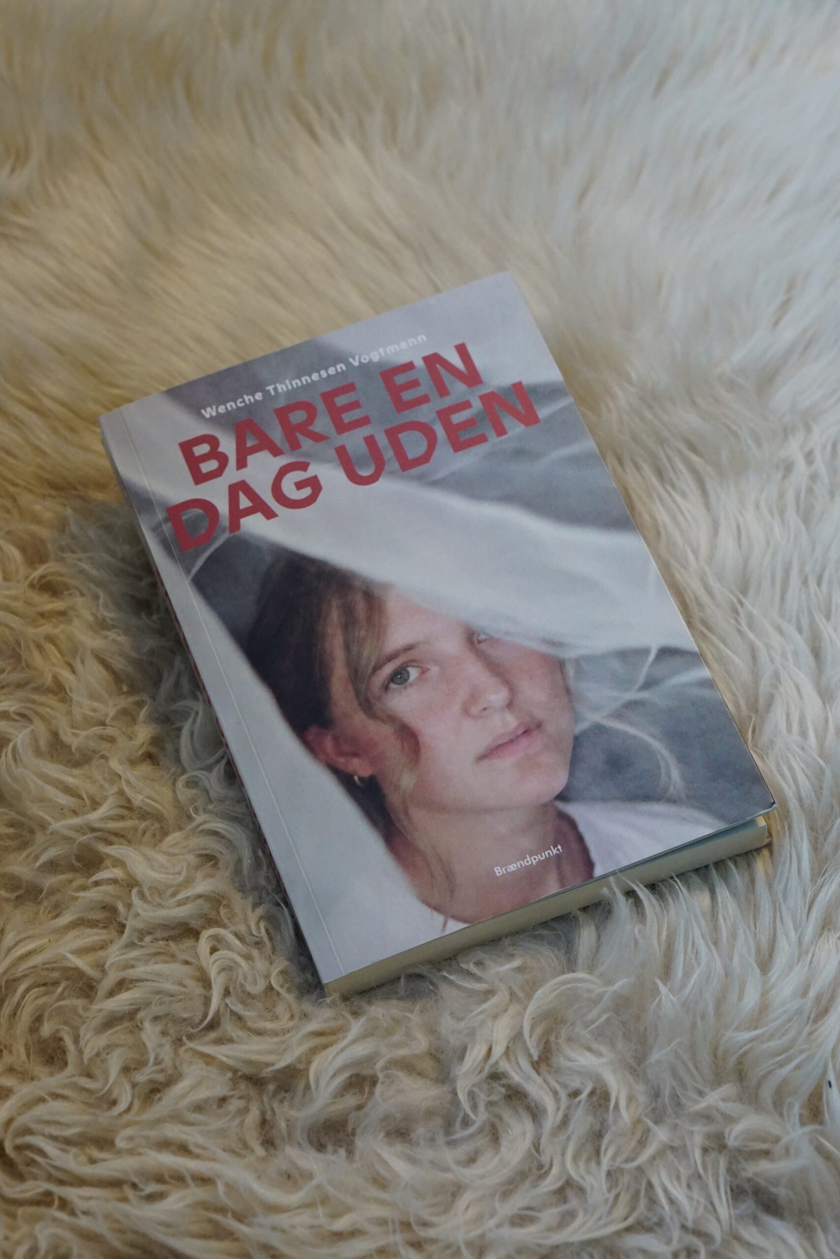 Bare En Dag Uden, bog